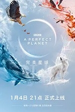 完美星球(2021) 1080PBT种子下载_完美星球1080P迅雷下载