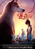 我是谁的宝贝(2017) 1080PBT种子下载_我是谁的宝贝1080P迅雷下载