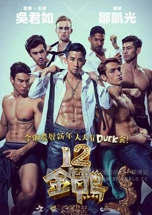 12金鸭(2015) 1080PBT种子下载_12金鸭1080P迅雷下载