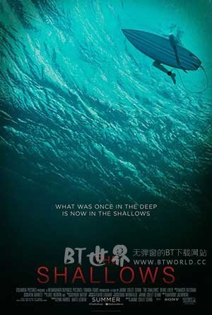 鲨滩(2016) 1080PBT种子下载_鲨滩1080P迅雷下载