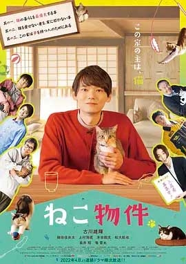 猫物件 1080P全集在线观看_猫物件 全集BT下载