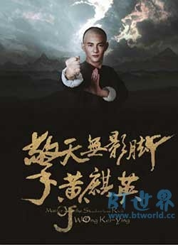 擎天无影脚黄麒英(2016) 1080PBT种子下载_擎天无影脚黄麒英1080P迅雷下载