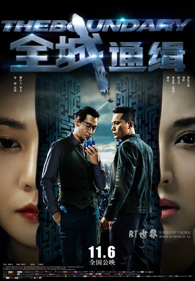 全城通缉(2014) 1080PBT种子下载_全城通缉1080P迅雷下载