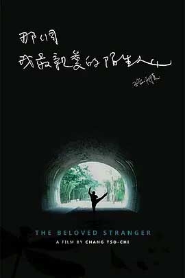 那个我最亲爱的陌生人(2019) 1080PBT种子下载_那个我最亲爱的陌生人1080P迅雷下载