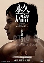 永久居留(2009) 1080PBT种子下载_永久居留1080P迅雷下载