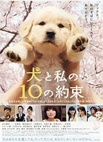 狗狗与我的十个约定(2008) 1080PBT种子下载_狗狗与我的十个约定1080P迅雷下载