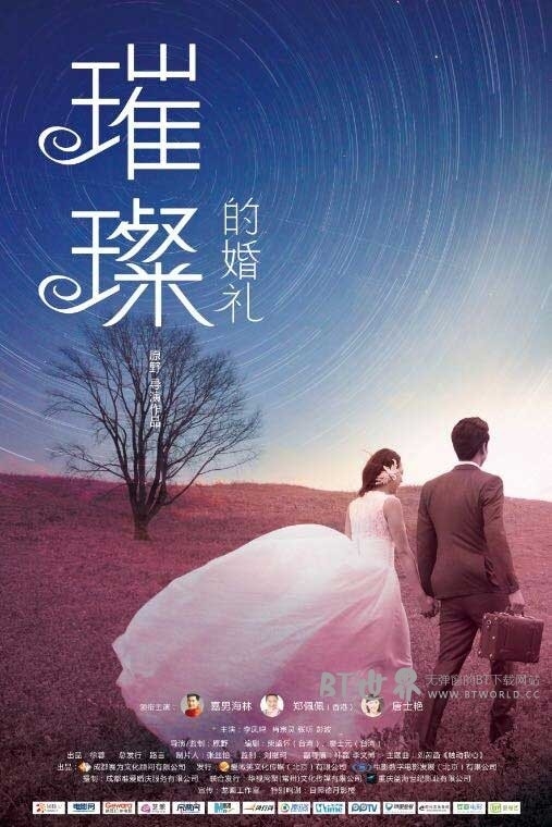 璀璨的婚礼(2015) 1080PBT种子下载_璀璨的婚礼1080P迅雷下载