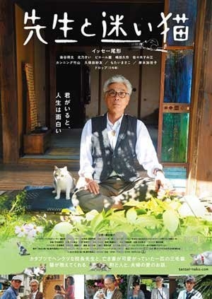 老师与流浪猫(2015) 1080PBT种子下载_老师与流浪猫1080P迅雷下载