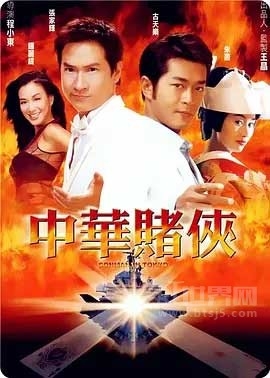 中华赌侠(2000) 1080PBT种子下载_中华赌侠1080P迅雷下载