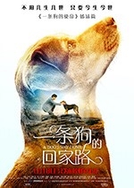 一条狗的回家路(2019) 1080PBT种子下载_一条狗的回家路1080P迅雷下载