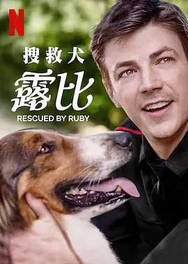 义犬救主(2022) 1080PBT种子下载_义犬救主1080P迅雷下载