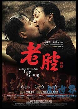 老腔(2016) 1080PBT种子下载_老腔1080P迅雷下载