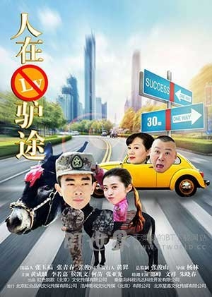 人在驴途(2016) 1080PBT种子下载_人在驴途1080P迅雷下载