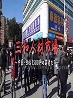 三和人才市场 中国日结1500日元的年轻人们(2018) 1080PBT种子下载_三和人才市场 中国日结1500日元的年轻人们1080P迅雷下载