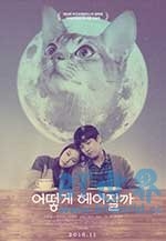 如何与我的猫分手(2016) 1080PBT种子下载_如何与我的猫分手1080P迅雷下载