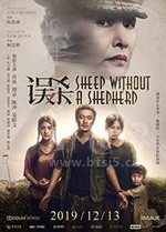 误杀(2019) 1080PBT种子下载_误杀1080P迅雷下载