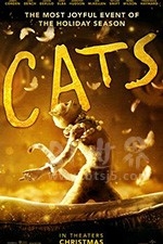 猫(2019) 1080PBT种子下载_猫1080P迅雷下载