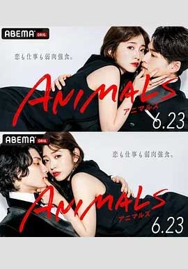 ANIMALS 1080P全集在线观看_ANIMALS 全集BT下载