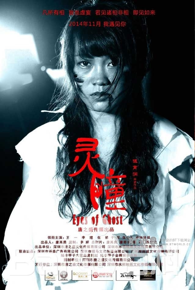 灵瞳(2014) 1080PBT种子下载_灵瞳1080P迅雷下载