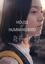 蜂鸟(2019) 1080PBT种子下载_蜂鸟1080P迅雷下载