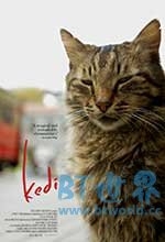 伊斯坦布尔的猫(2016) 1080PBT种子下载_伊斯坦布尔的猫1080P迅雷下载