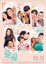 宠爱(2019) 1080PBT种子下载_宠爱1080P迅雷下载