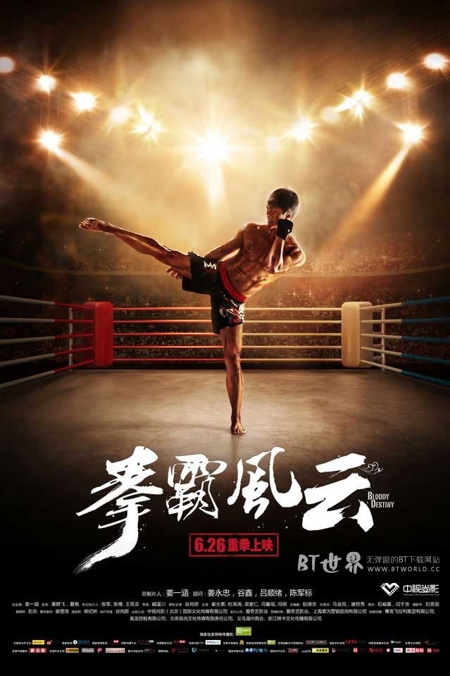 拳霸风云(2015) 1080PBT种子下载_拳霸风云1080P迅雷下载